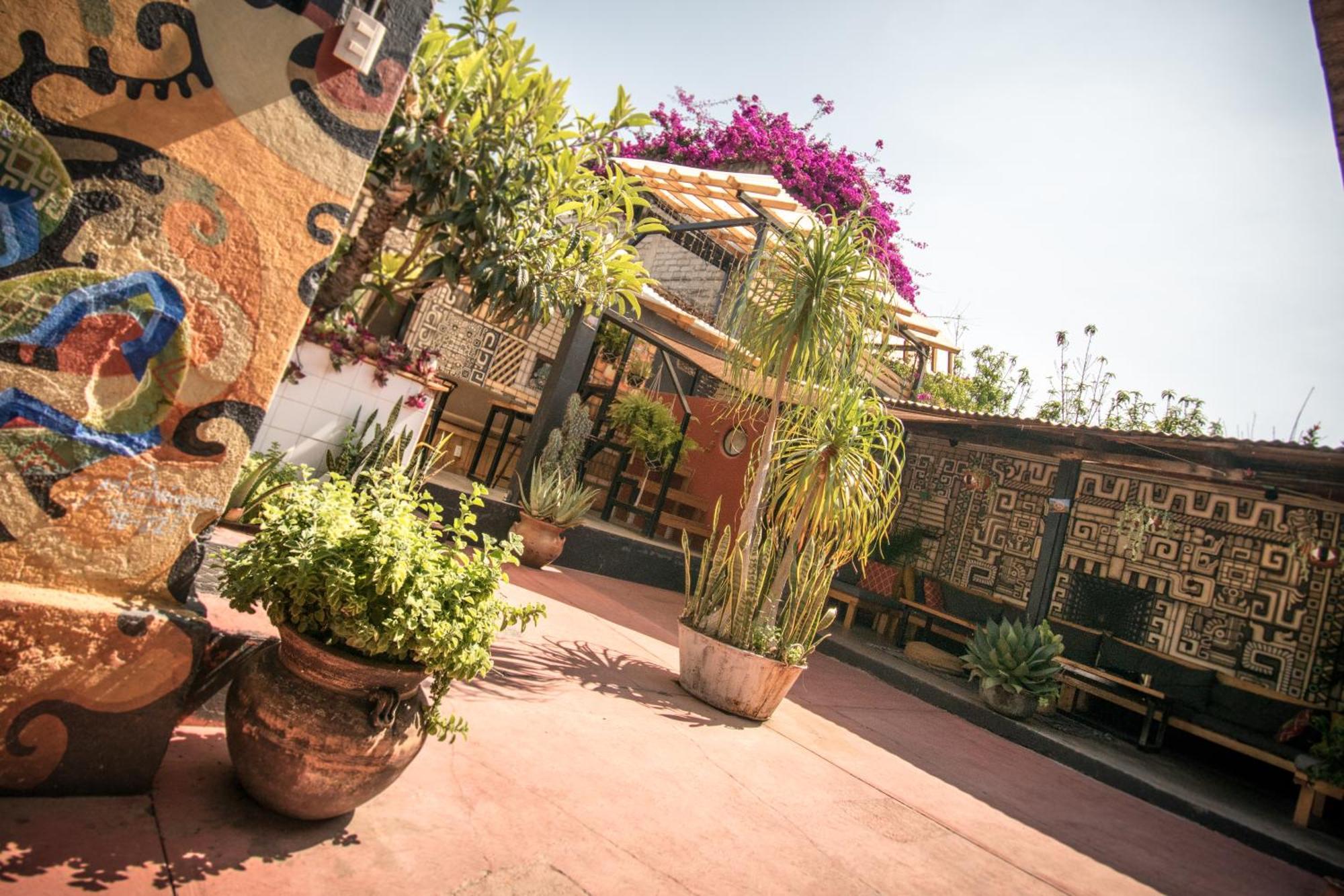 13 Cielos Hostel & Coworking San Cristobal de las Casas Exterior photo